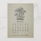 December  Paddestoel  2024 Kaart (Voorkant)