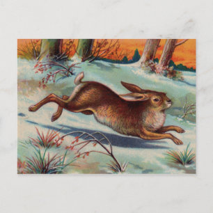 December Rabbit Briefkaart