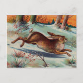 December Rabbit Briefkaart (Voorkant)