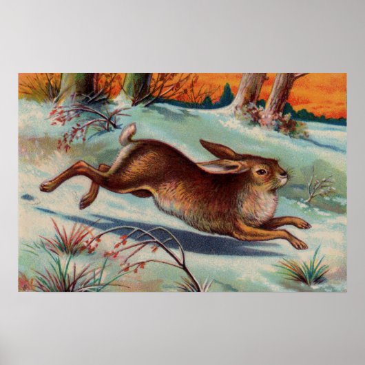 December Rabbit Medium Poster (Voorkant)