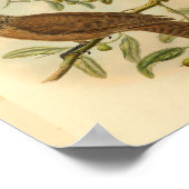 Deceptief oranje bruine gevreesde vogelafdrukken poster (Hoek)