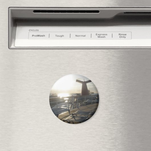 Deck van de Carnaval Sensation Magneet (Insitu (Vaatwasser))