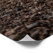 " deck " - voorzitters die naar het Zee kijken Poster (Hoek)