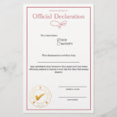 declaratievraag voor santa nice (Voorkant)