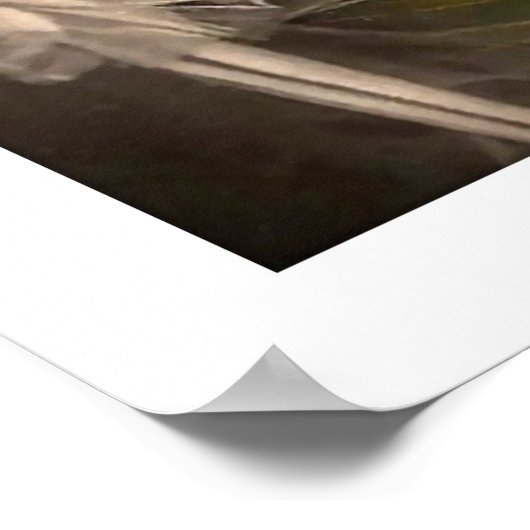 deco bride gekleurde veil poster (Hoek)