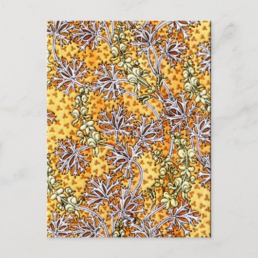 Deco Nouveau Flowers en Lace Briefkaart (Voorkant)