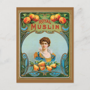 Deco Victoriaans Royal Muslin kunstwerk Briefkaart