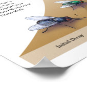 Decomposers afdrukken poster (Hoek)