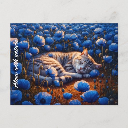 Decor kat droom dierenveld bloemen mooi briefkaart (Voorkant)
