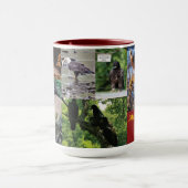 Decorah Eagles 2020 Mok (Midden)