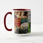 Decorah Eagles 2020 Mok (Links)