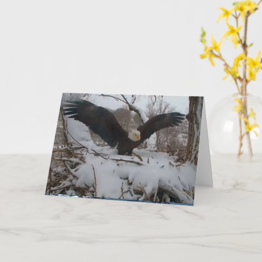 Decorah Eagles Kerst Kaarten (Gele Bloem)