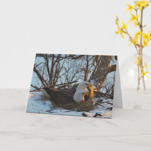 Decorah Nest North Kerstkaart Kaart (Gele Bloem)