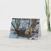 Decorah Nest North Kerstkaart Kaart (Voorkant)