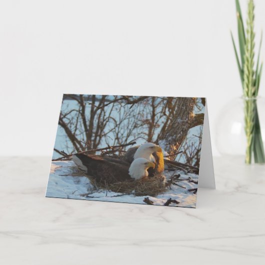 Decorah Nest North Kerstkaart Kaart (Voorkant)