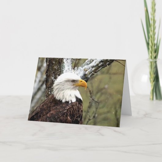 Decorah North Eagles: De Beaver Moon Kaart (Voorkant)