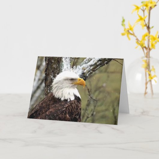 Decorah North Eagles: De Beaver Moon Kaart (Gele Bloem)