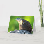 Decorah North Eagles: De bloem Kaart (Voorkant)