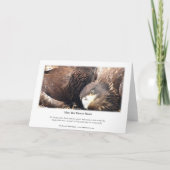 Decorah North Eagles: De bloem Kaart (Achterkant)