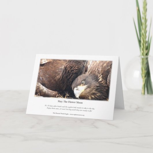 Decorah North Eagles: De bloem Kaart (Achterkant)