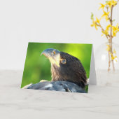 Decorah North Eagles: De bloem Kaart (Gele Bloem)