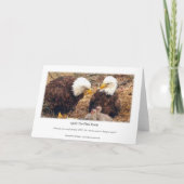 Decorah North Eagles: De roze maan Kaart (Achterkant)