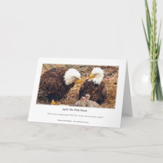 Decorah North Eagles: De roze maan Kaart (Achterkant)