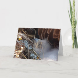 Decorah North Eagles: De roze maan Kaart