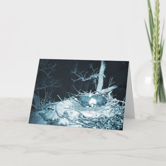 Decorah North Eagles: De sneeuwmaan Kaart (Voorkant)