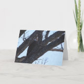 Decorah North Eagles: De Wolf Moon Kaart (Voorkant)