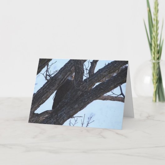 Decorah North Eagles: De Wolf Moon Kaart (Voorkant)