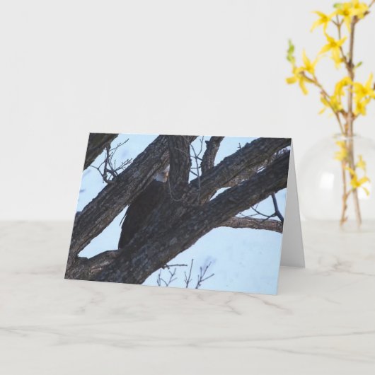 Decorah North Eagles: De Wolf Moon Kaart (Gele Bloem)