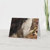 Decorah North Eagles: De Worm Moon Kaart (Voorkant)