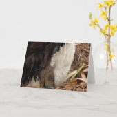 Decorah North Eagles: De Worm Moon Kaart (Gele Bloem)