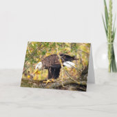 Decorah North Eagles: The Harvest Moon Kaart (Voorkant)