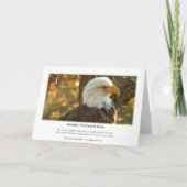 Decorah North Eagles: The Harvest Moon Kaart (Achterkant)