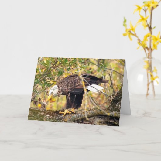 Decorah North Eagles: The Harvest Moon Kaart (Gele Bloem)