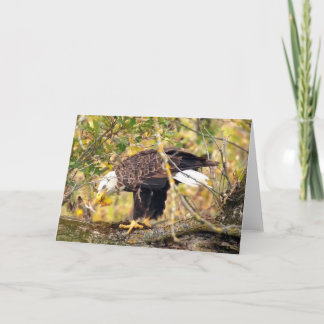 Decorah North Eagles: The Harvest Moon Kaart