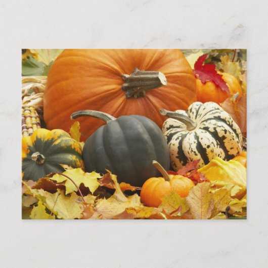 Decoratie oktober briefkaart (Voorkant)