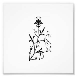 Decoratief Floral Flourish Foto Afdruk
