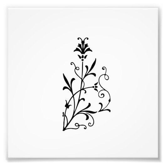 Decoratief Floral Flourish Foto Afdruk (Voorkant)