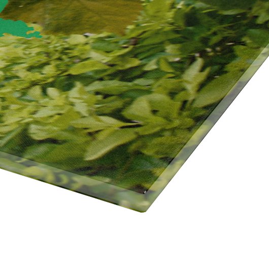 Decoratief Floral Red Hibiscus Snijplank (Hoek)