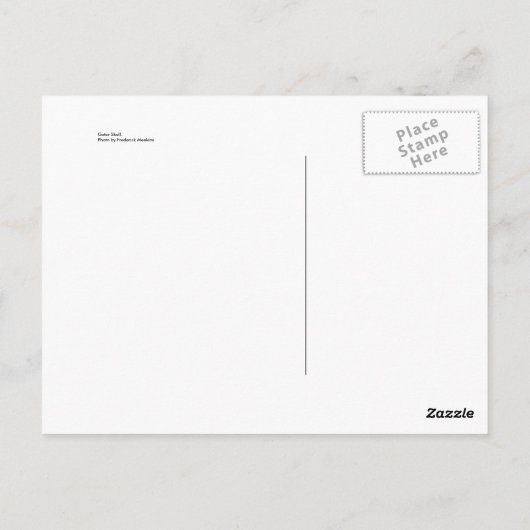 Decoratief gator briefkaart (Achterkant)