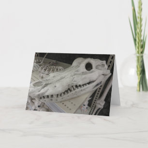 Decoratief gator kaart