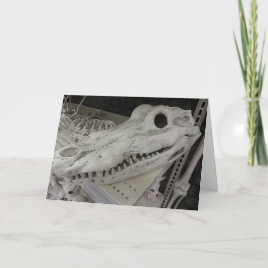 Decoratief gator kaart (Voorkant)