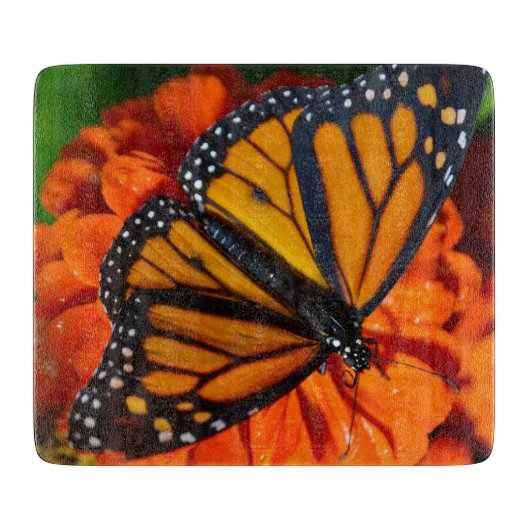 Decoratief glazen snijvlak snijplank (Voorkant)