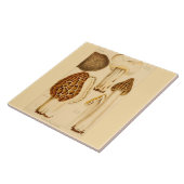 Decoratief keukenafval, bijpassende tapijten tegeltje (Zijkant)