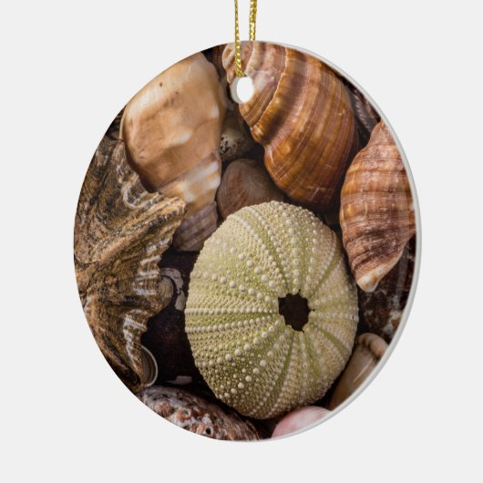 Decoratief Ornament voor de schelpdieren (Links)