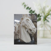 Decoratief paardenhoofd briefkaart (Staand voorkant)