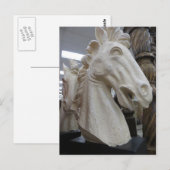Decoratief paardenhoofd briefkaart (Voorkant / Achterkant)